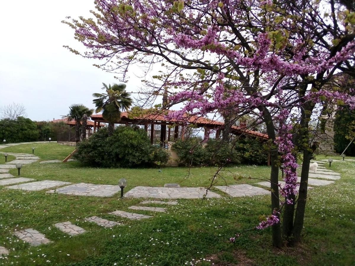 Villa Anna Leptokariá Kültér fotó