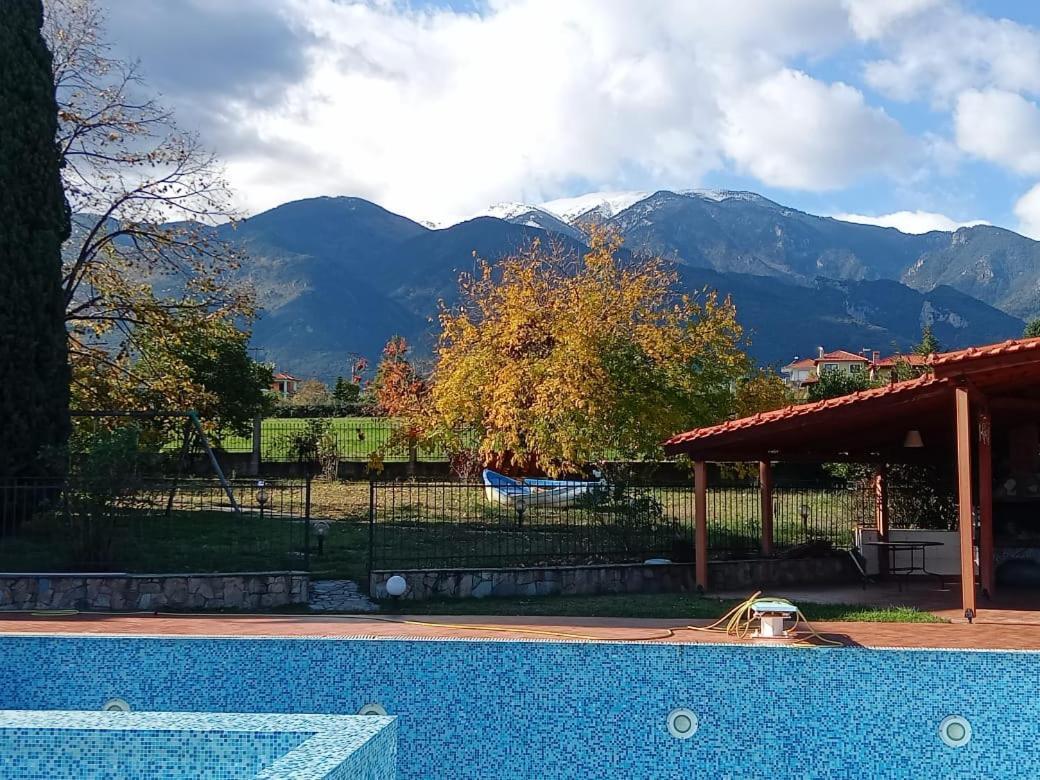 Villa Anna Leptokariá Kültér fotó