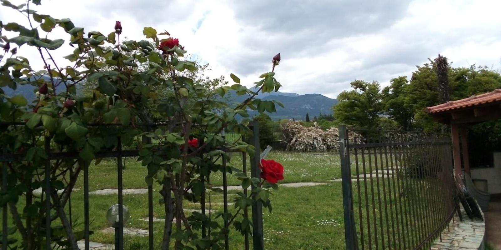 Villa Anna Leptokariá Kültér fotó