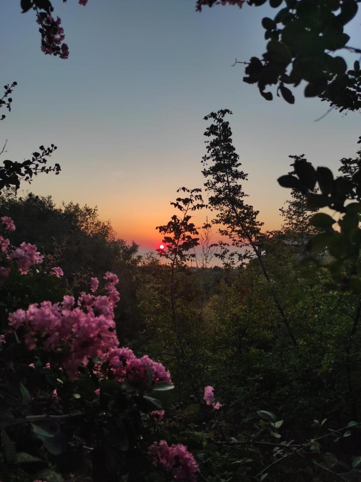 Villa Anna Leptokariá Kültér fotó
