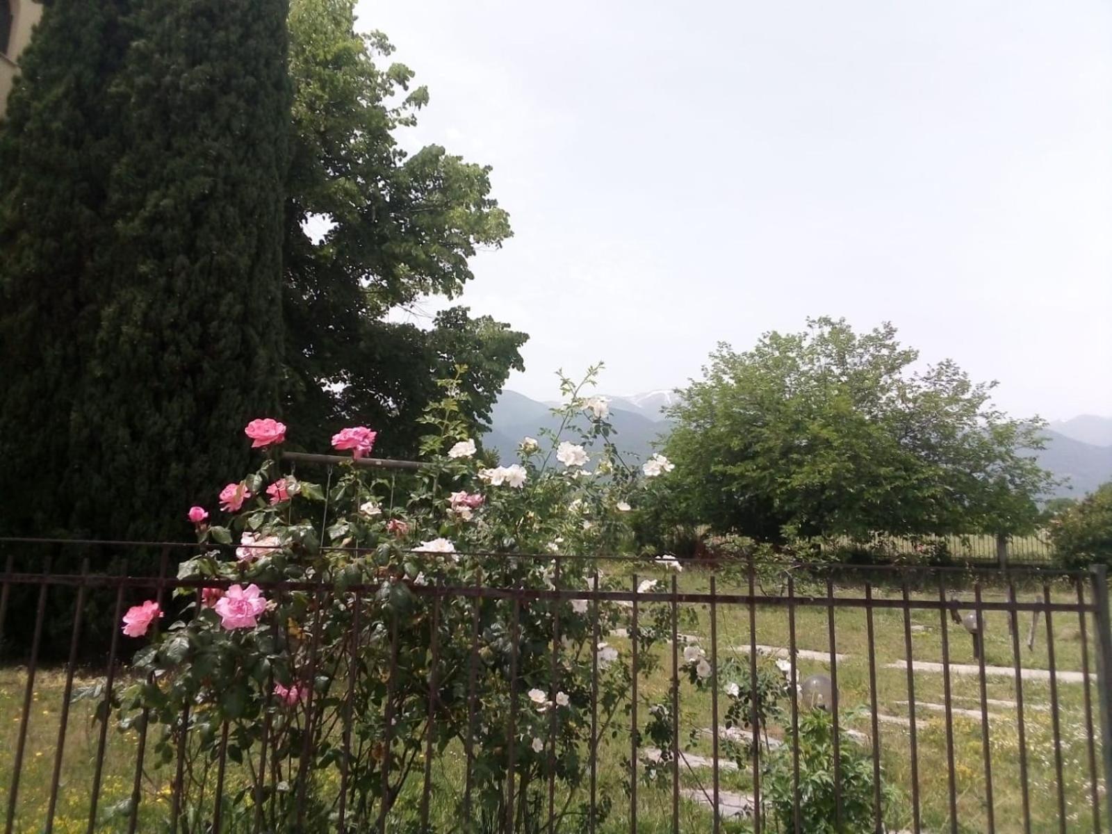 Villa Anna Leptokariá Kültér fotó