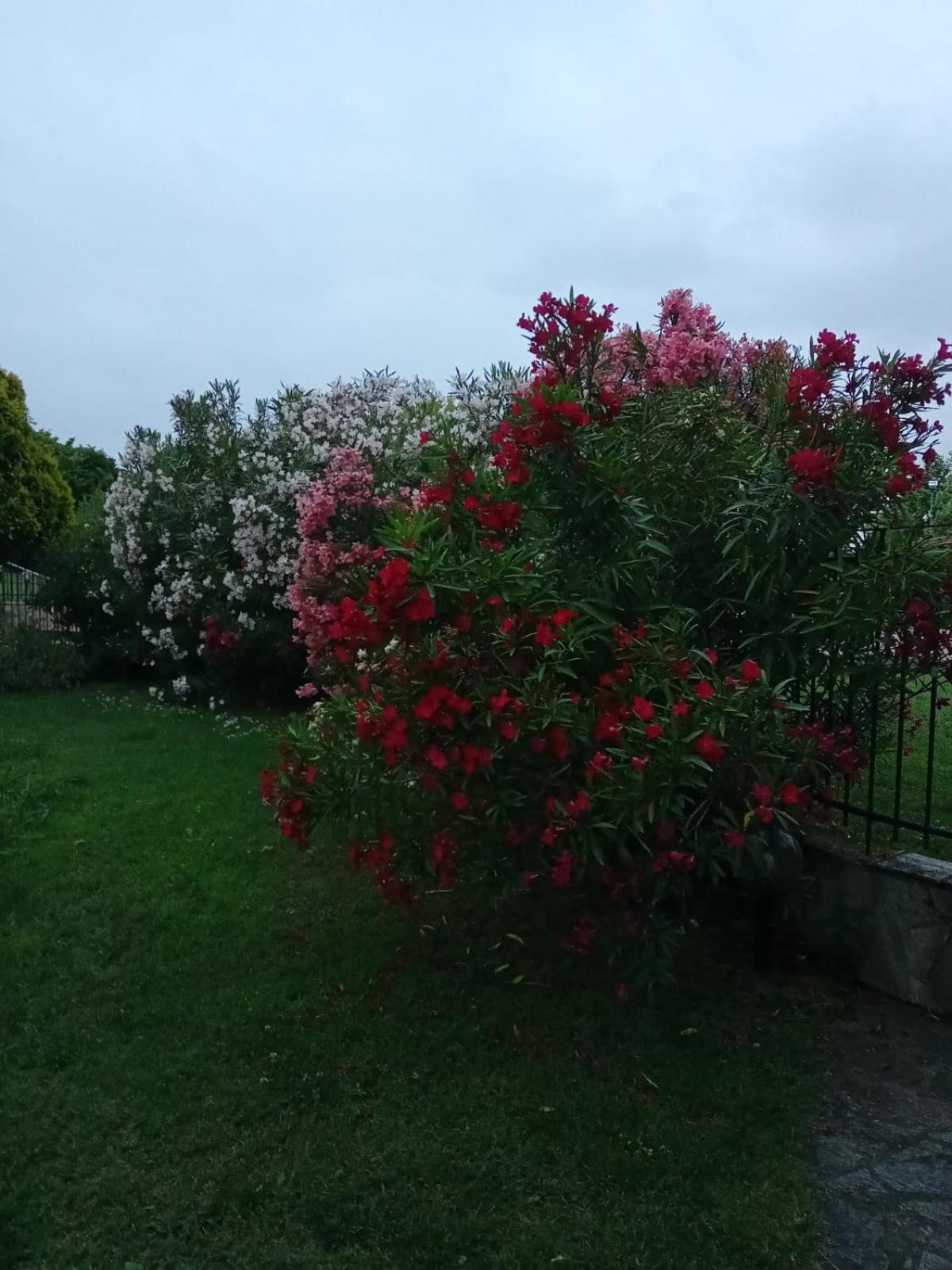 Villa Anna Leptokariá Kültér fotó